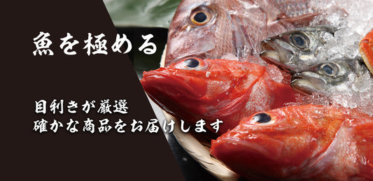 FOODEX JAPAN 2026 出展します（3/10(火）～13（金））